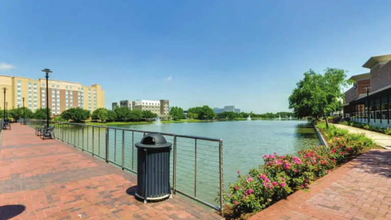 Lake Point Village Pedestrian Bridge