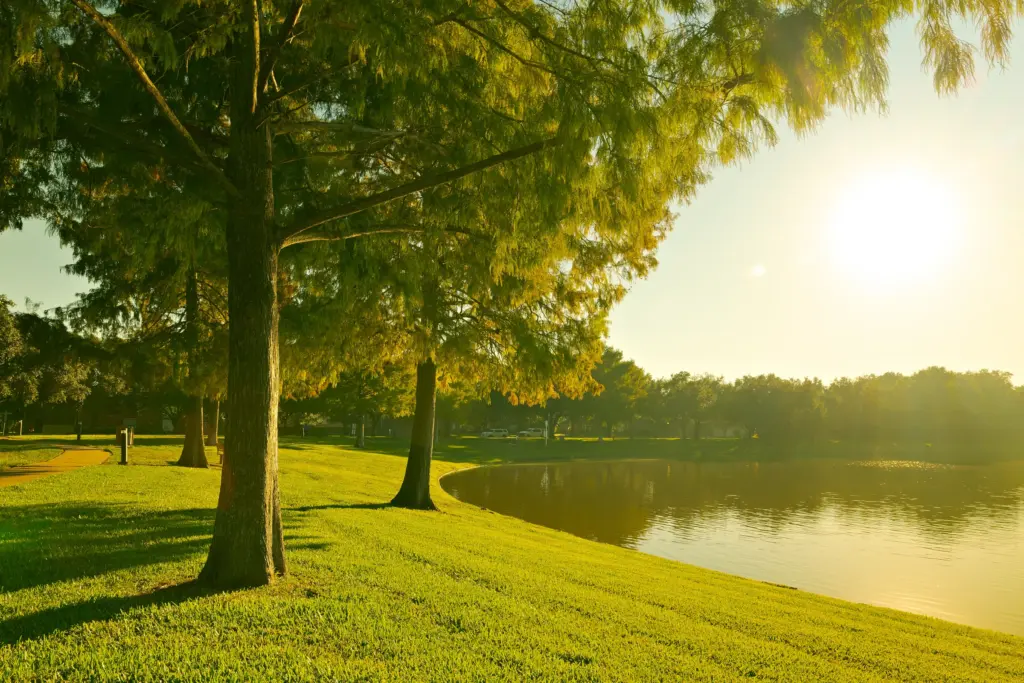 Commercial Land